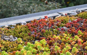 the cost of Bryansford green roof installation