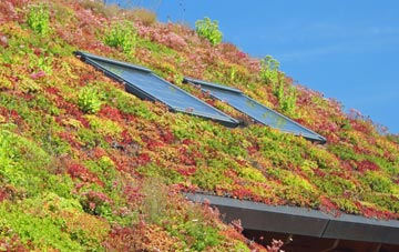 Bryansford living roof systems