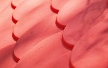 Bryansford plastic roof costs