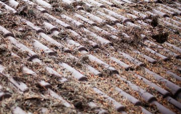 Bryansford roof cleaning companies