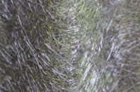 Bryansford fibreglass roof work